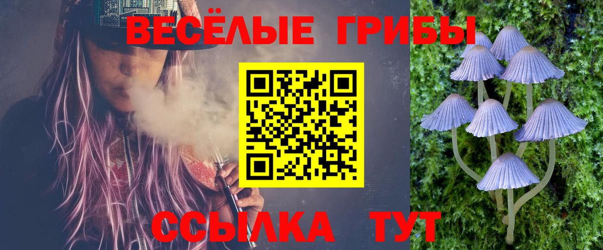 купить   Вход с VPN  Надым  Псилоцибиновые грибы Psilocybine cubensis 